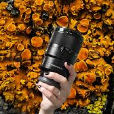 Capturing the Tiniest Marvels: Best Camera Lenses for Macro Photography