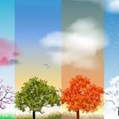 Exploring the Different Types of Weather Seasons in Canada