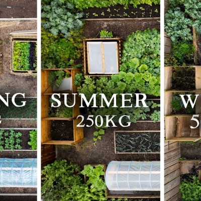 The Most Productive Planting Technique for Growing Food
